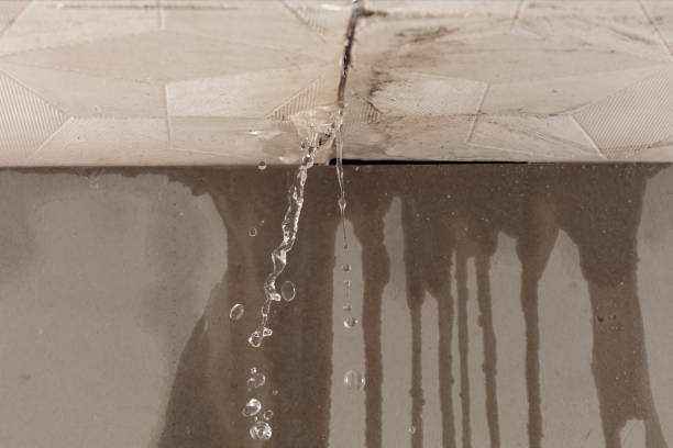 Professional Burst Pipe Cleanup technician working in Machiasport, ME
